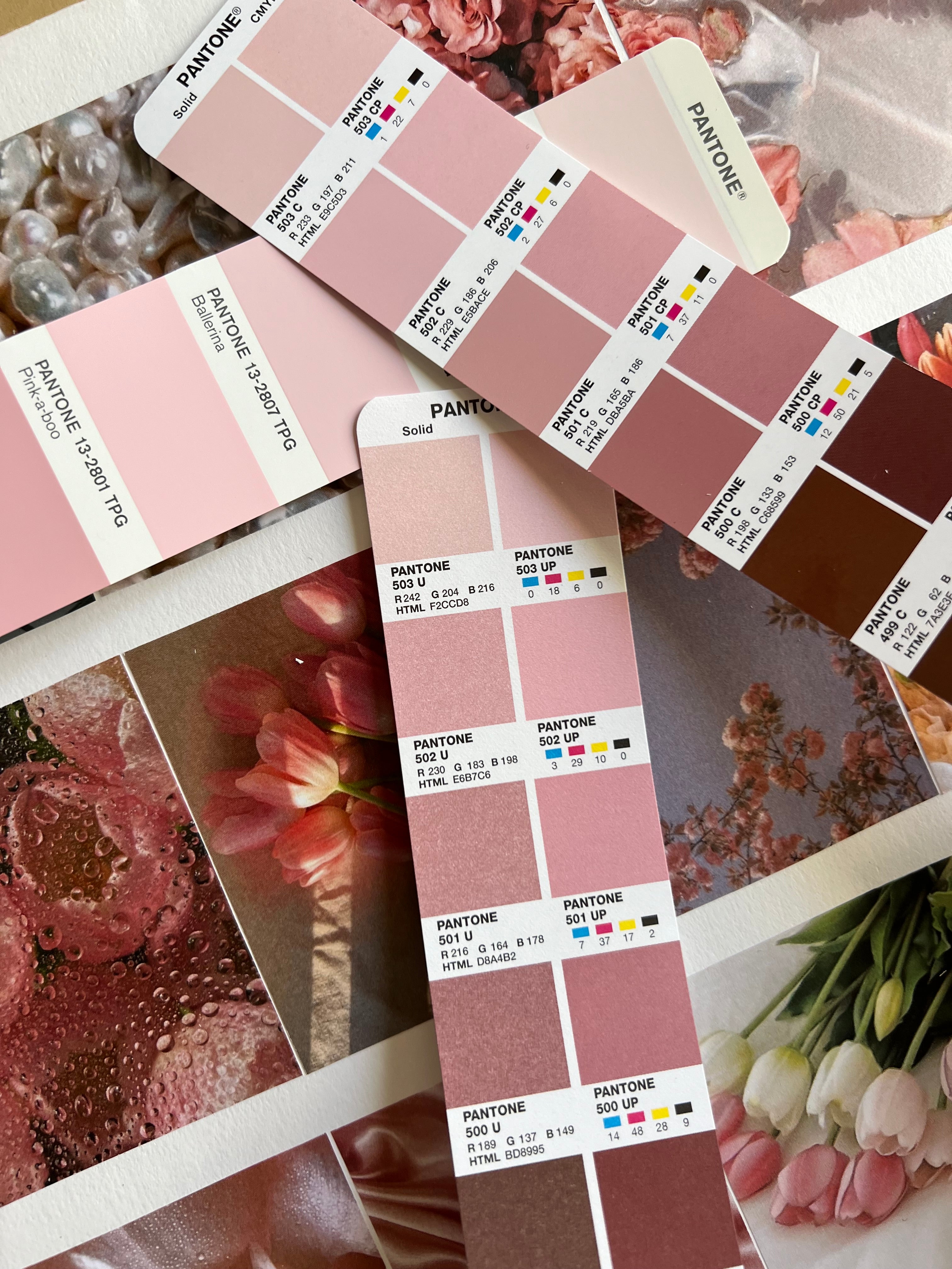 Pantone rose inspirations Alba
